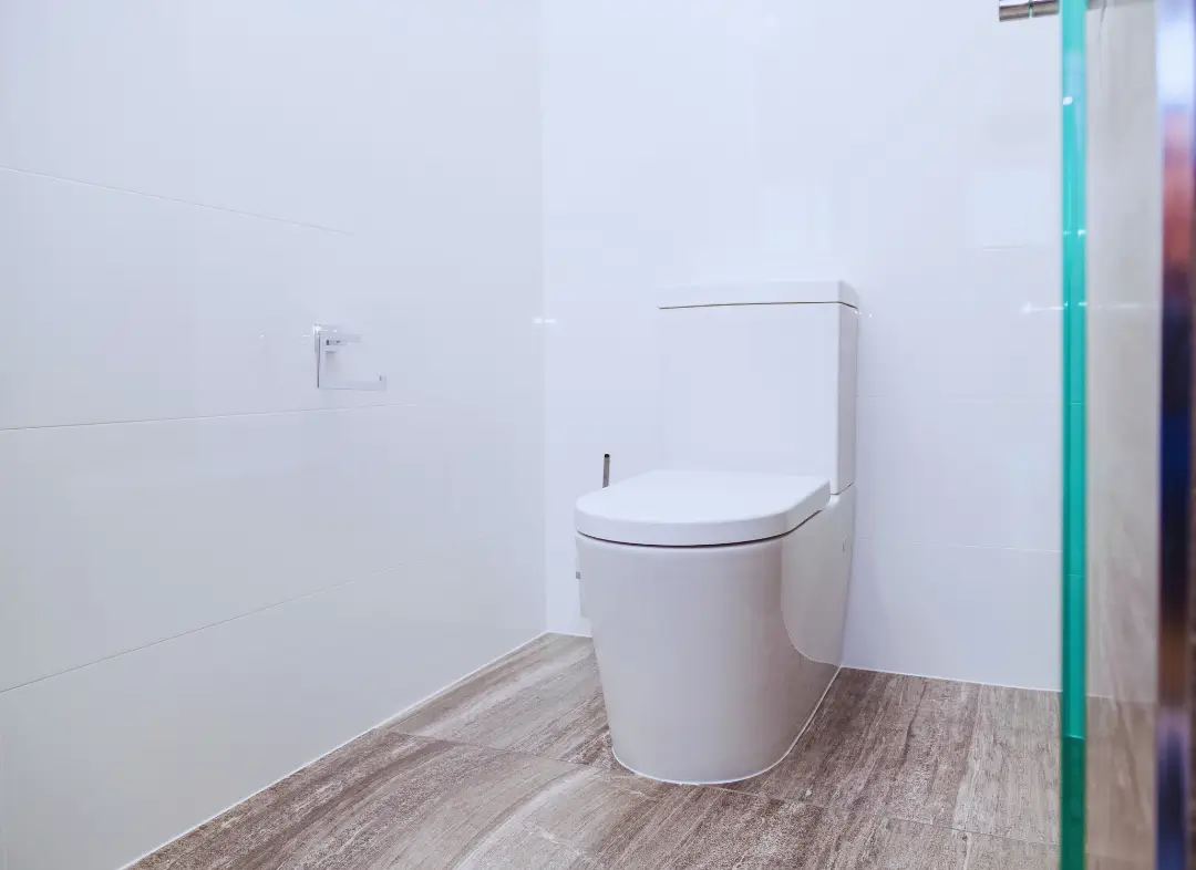 Remplacement de wc Bellevigne-en-Layon